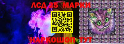 jwh Ярославль