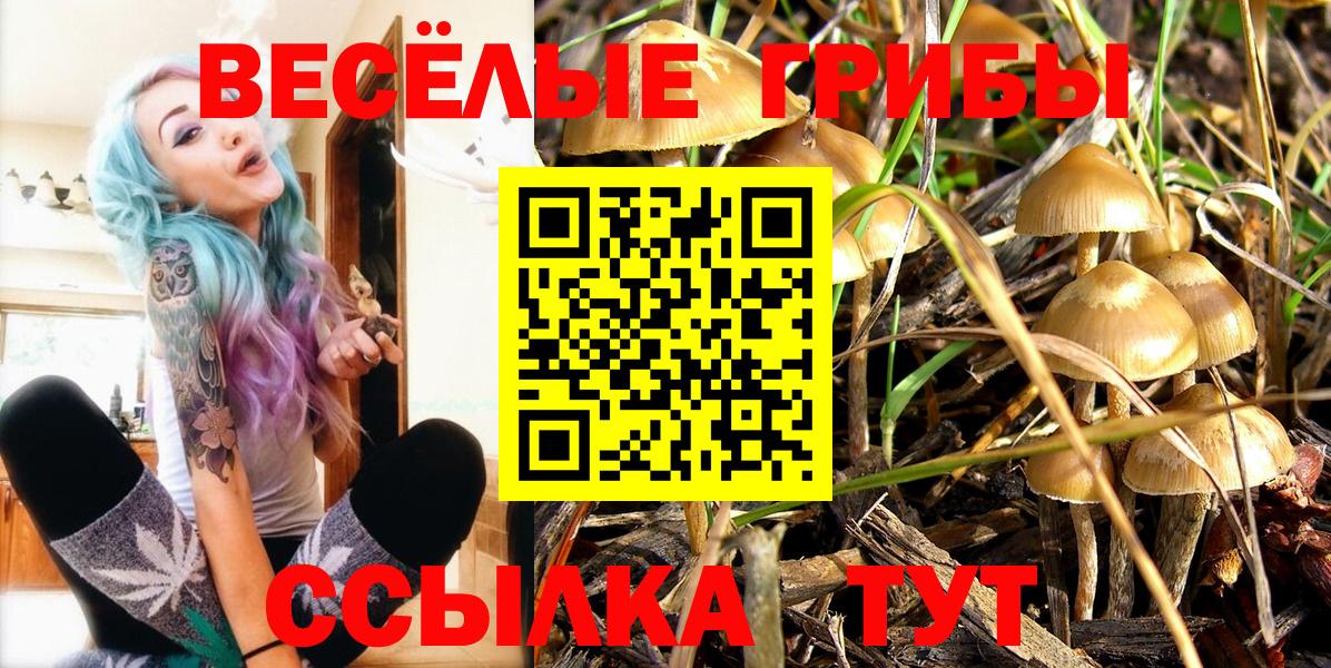 Балашиха  Галлюциногенные грибы прущие грибы  Галлюциногенные грибы мухоморы  Вход с VPN 